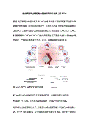 体外膜肺氧合期间的血管加压药和正性肌力药2024.docx