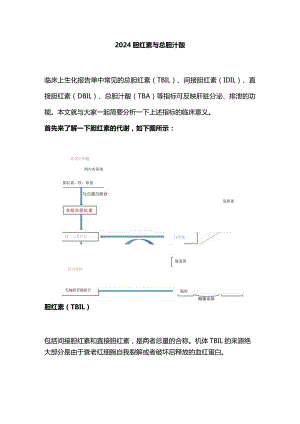 2024胆红素与总胆汁酸.docx