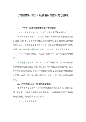 严格控制“三公”经费情况自查报告(提纲).docx