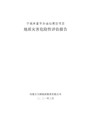 宁城林富华加油站地质灾害危险性评估报告.docx