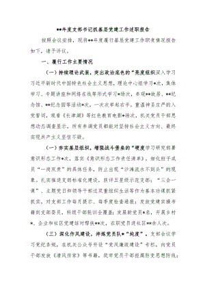 2022年度支部书记抓基层党建工作述职报告【】.docx