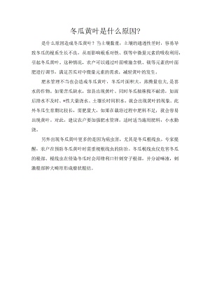 冬瓜黄叶是什么原因？.docx