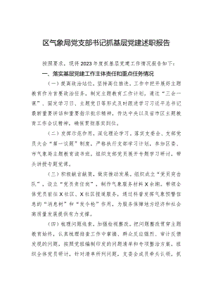 2024年区气象局党支部书记抓基层党建述职报告.docx