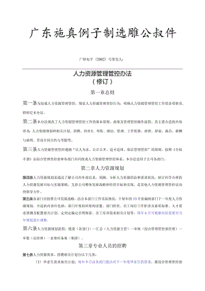 XX电子企业人力资源管理办法实施.docx