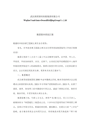 2024集团基本情况汇报.docx