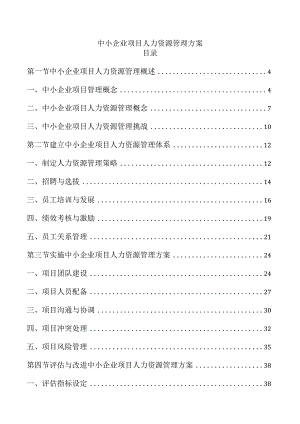 中小企业项目人力资源管理方案.docx