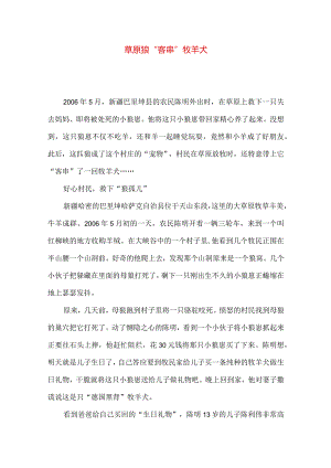 草原狼“客串”牧羊犬.docx