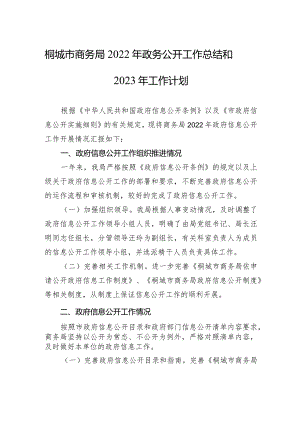 桐城市商务局2022年政务公开工作总结和2023年工作计划（20221209）.docx