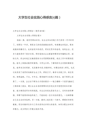 大学生社会实践心得感言（31篇）.docx