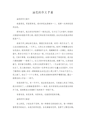 油花的作文7篇.docx