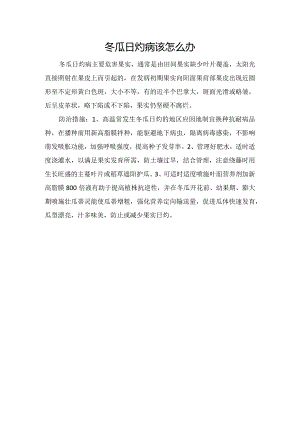 冬瓜日灼病该怎么办.docx