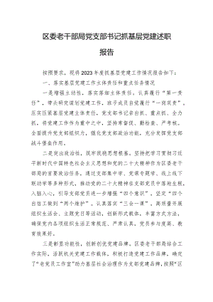 2024年区委老干部局党支部书记抓基层党建述职报告.docx