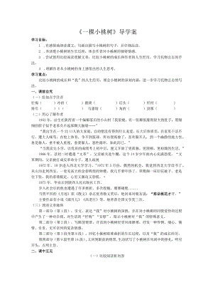 一棵小桃树——用梦想点亮心灯照亮人生.docx