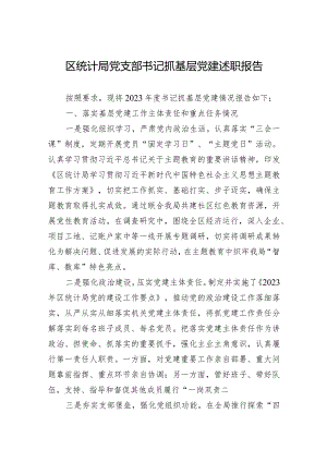 2024年区统计局党支部书记抓基层党建述职报告.docx
