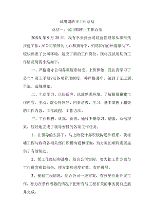 试用期转正工作计划总结材料.docx