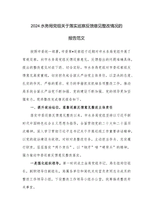 2024水务局党组关于落实巡察反馈意见整改情况的报告范文.docx