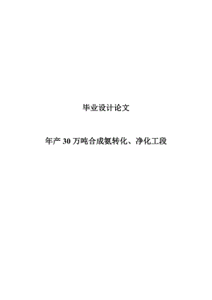 30万吨合成氨毕业设计论文.doc