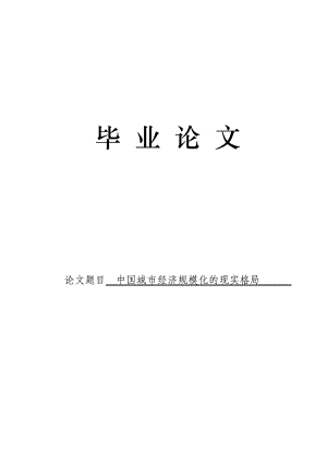 3501.中国城市经济规模化的现实格局论文.doc