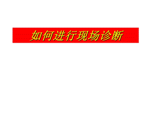 怎样进行现场诊断.ppt
