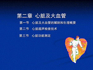 心脏彩超操作.ppt