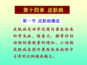兽医 皮肤病.ppt