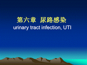 尿路感染2.ppt