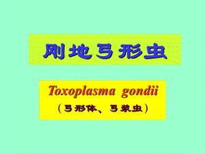 【预防医学】e寄生虫学第十三讲（弓形虫） .ppt