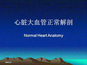 心脏正常解剖.ppt.ppt