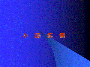 小肠疾病.ppt