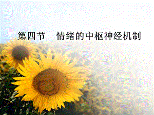 情绪的中枢神经机制.ppt