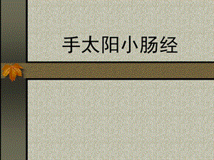 手太阳小肠经.ppt