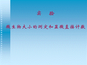显微镜的直接计数和细菌大小测定.ppt