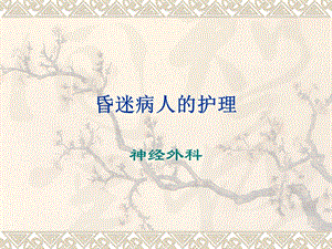 昏迷病人的护理.ppt.ppt