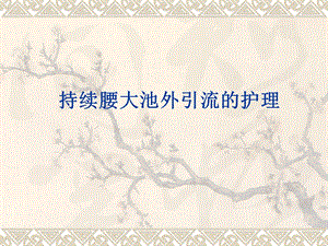 持续腰大池外引流的护理.ppt