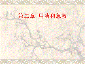 用药和急救ppt.ppt
