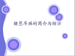 猪蓝耳病简介和防治.ppt