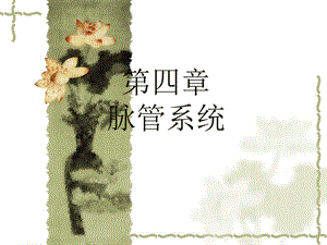 第三篇 脉管系统全.ppt.ppt