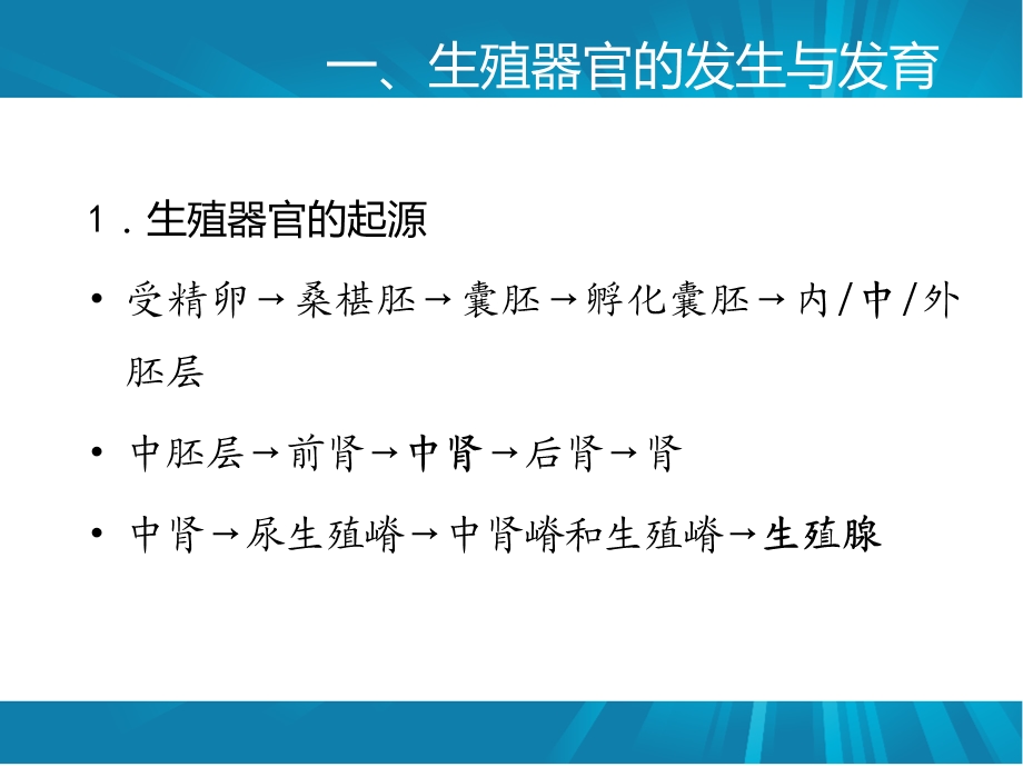 第一章动物生殖器官及机能动物繁殖学.ppt_第3页