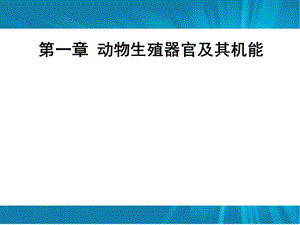 第一章动物生殖器官及机能动物繁殖学.ppt