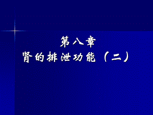 肾的排泄功能ppt.ppt