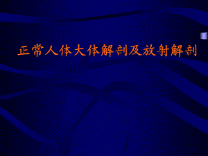 精致正常头颅CT.ppt