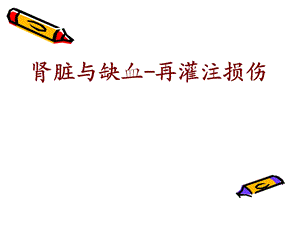 缺血再灌注损伤.ppt.ppt