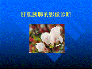 肝胆胰脾的影像诊断.ppt