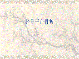 胫骨平台骨折最好的PPT.ppt