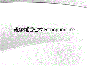 肾穿刺活检术Renopuncture..ppt