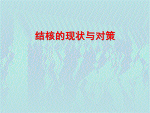 结核的现状与对策.ppt