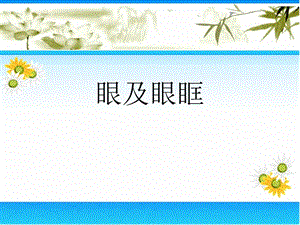 精品眼及眼眶疾病影像学诊断.ppt