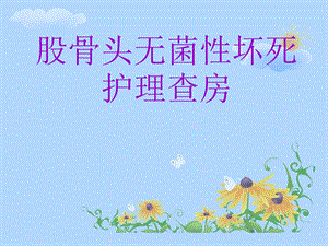 股骨头无菌性坏死护理查房图文.ppt