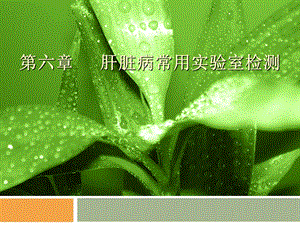 肝功能检查.ppt.ppt