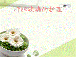 肝胆疾病的护理.ppt